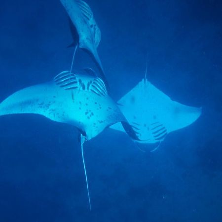 Mai Dive' Astrolabe Reef Resort Naqara Exteriér fotografie
