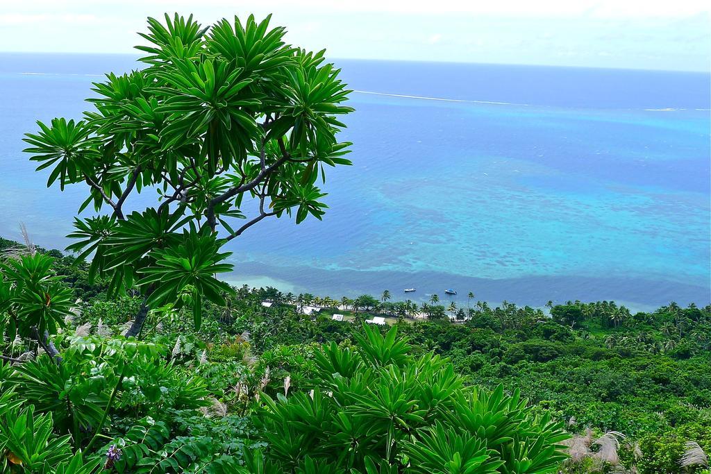 Mai Dive' Astrolabe Reef Resort Naqara Pokoj fotografie