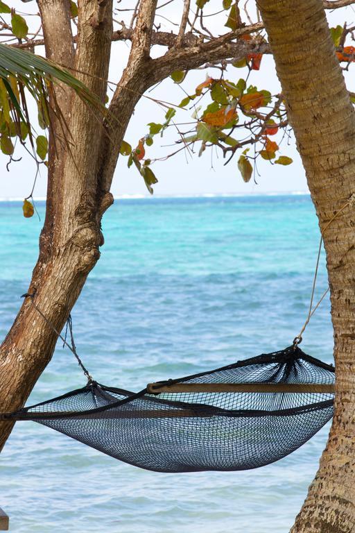 Mai Dive' Astrolabe Reef Resort Naqara Pokoj fotografie
