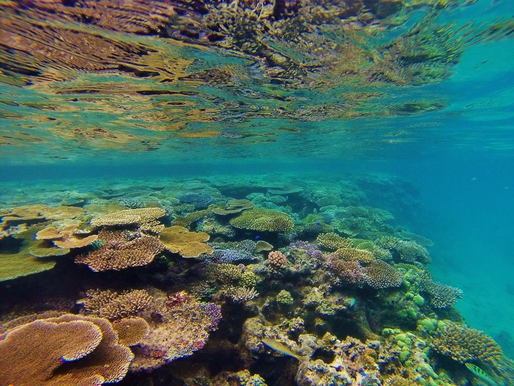 Mai Dive' Astrolabe Reef Resort Naqara Exteriér fotografie