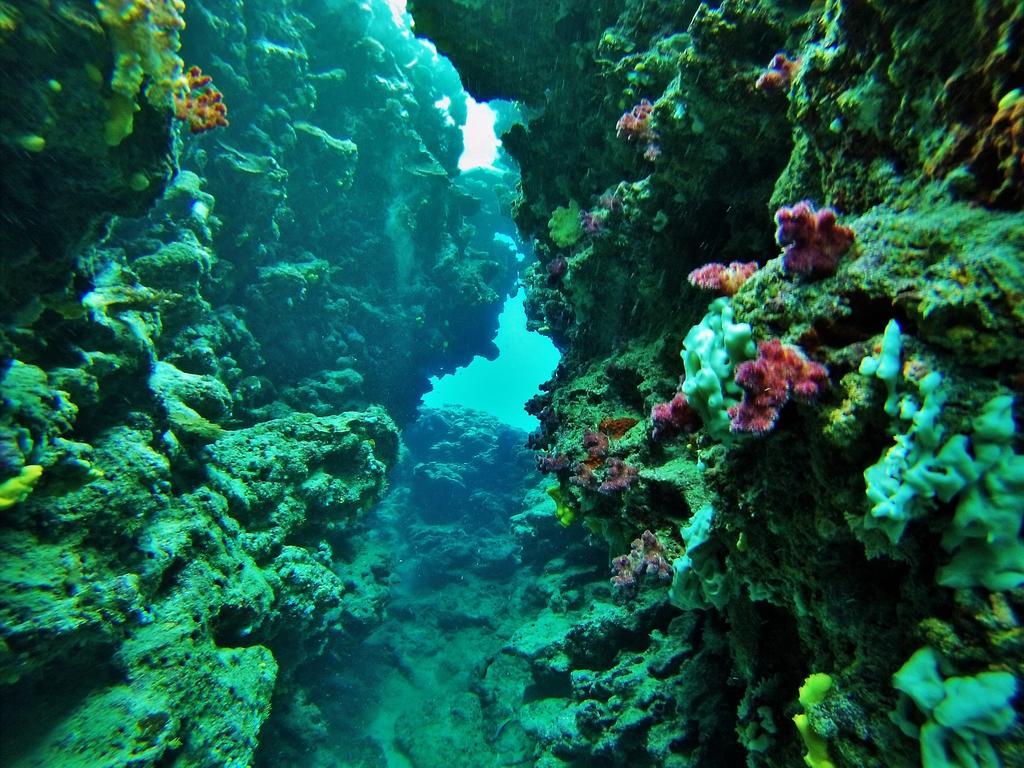 Mai Dive' Astrolabe Reef Resort Naqara Exteriér fotografie