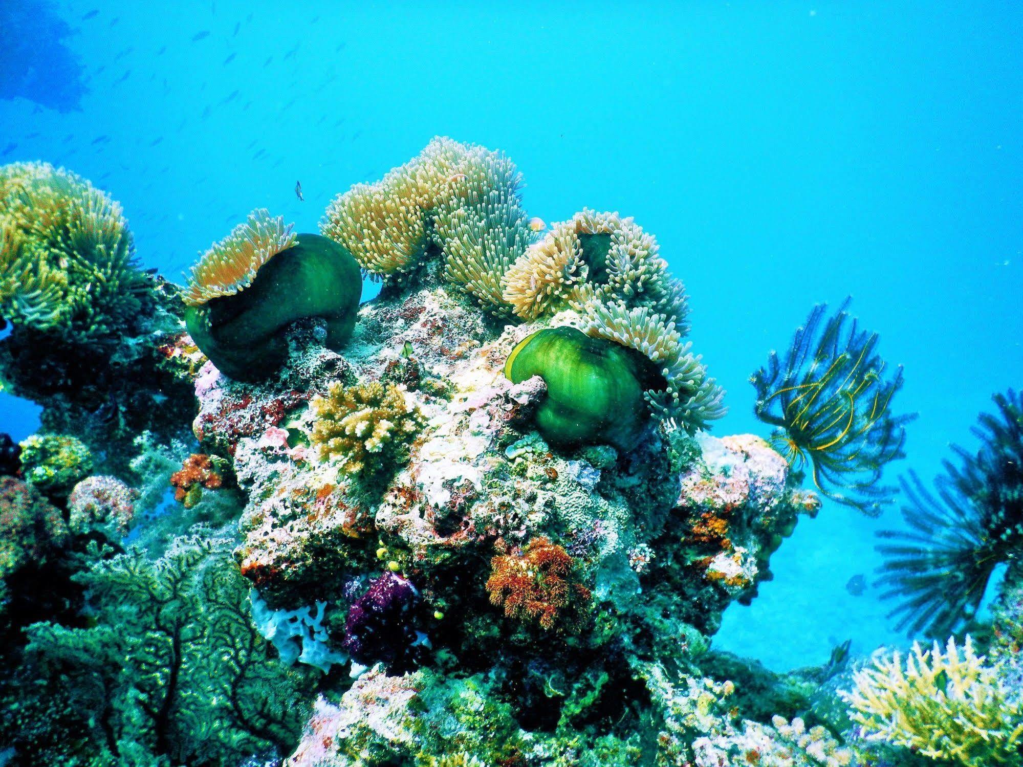 Mai Dive' Astrolabe Reef Resort Naqara Exteriér fotografie